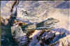 Painting: 'Hawgs On Guard' by Rick Herter. Available at AviatorArt.com.