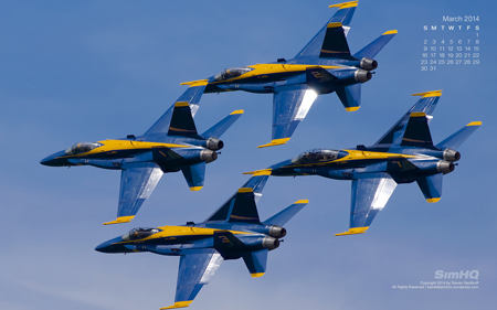 The US Navy Blue Angels